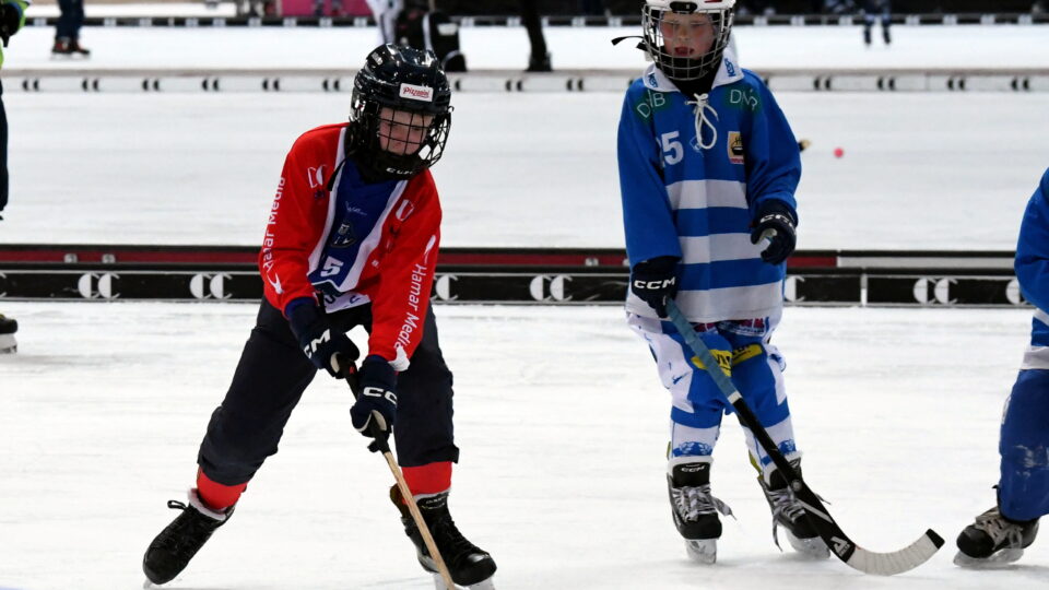 Gutter som spiller bandy